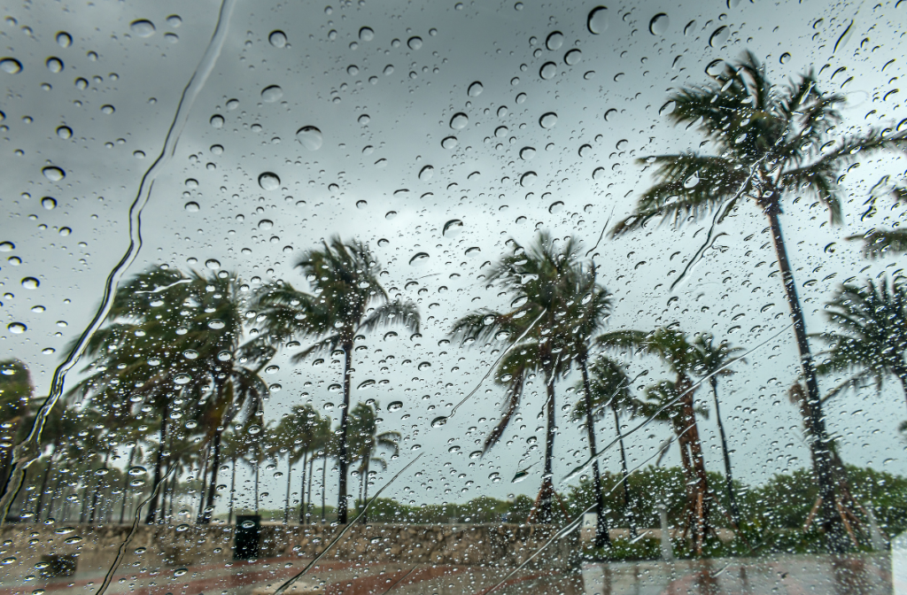 stormy beach