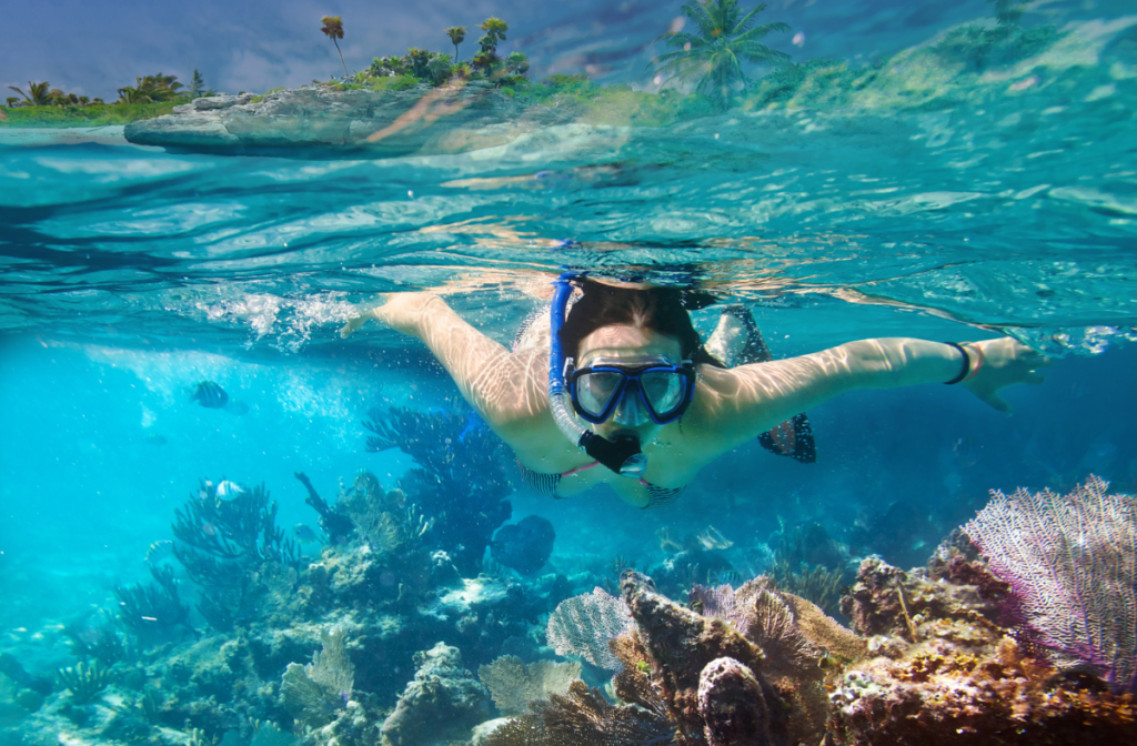 snorkeling in the Caribbean